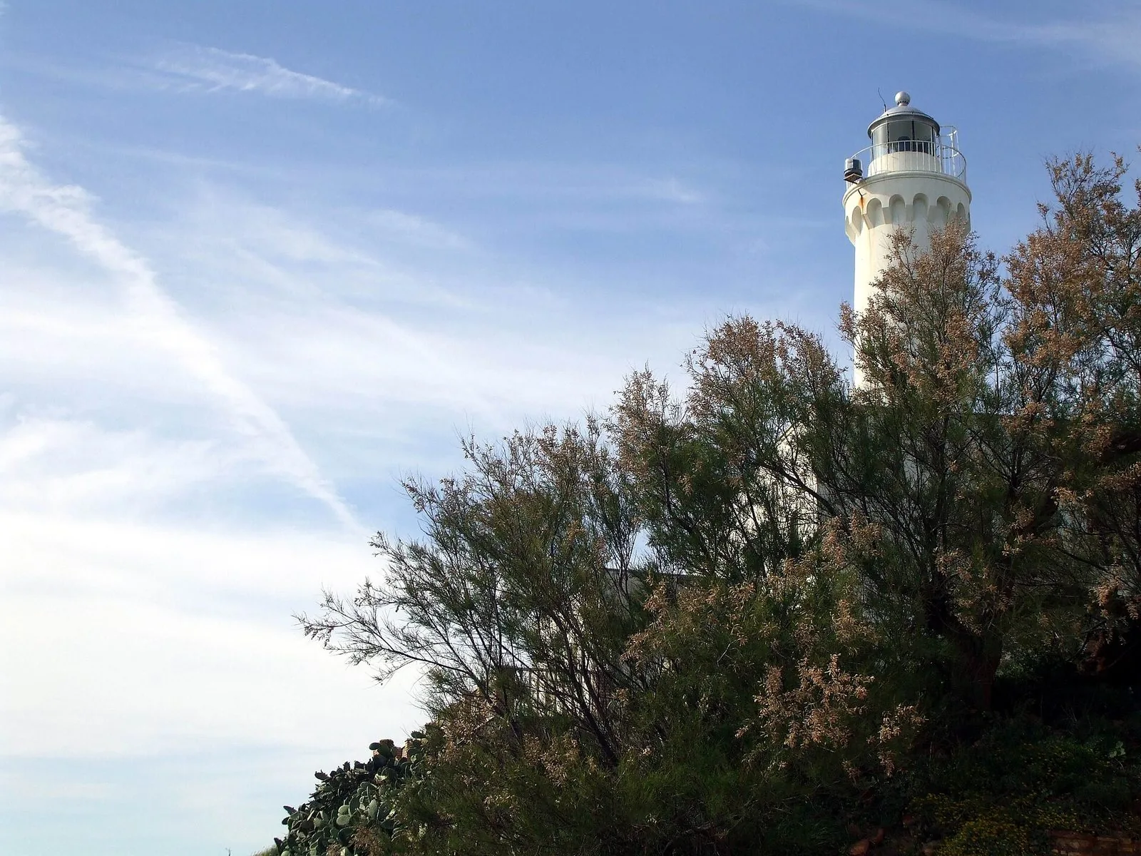 Il faro bianco di Anzio, con la lanterna in cima e la cornice ad archetti, che spunta da una macchia di tamerici sotto un cielo azzurro velato